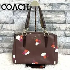 【レア】coach レザー　ハンドバッグ