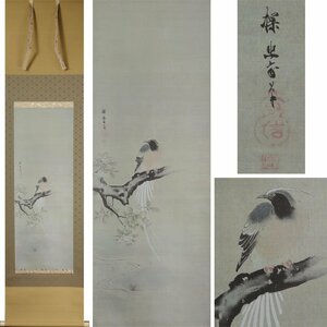 《源》【即決・送料無料】《高級工芸品》ボストン美術館 収蔵 狩野探幽 筆「海棠に尾長鳥」/箱付