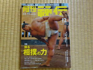 月刊秘伝　2007年12月　蘇る相撲の力　武道　武術　太極拳　合気道　大相撲　寺尾　錣山親方