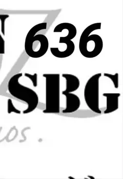 636SBG ダブルフットカスタム タカミテクノス