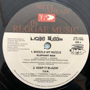 LIQUID RIDDIM /ELEPHANT MAN - SHIZZLE MY NIZZLE/T.O.K. - KEEP IT BLAZIN