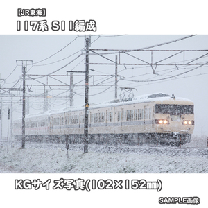 ◎KG写真【JR東海】117系電車 S11編成 ■復刻国鉄色 ■普通 □撮影:東海道本線 2011/12/25［KG0598］