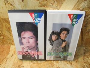 （希少激レア）未DVD化『翔んでる警視』郷ひろみ主演 全2巻セット　VHS