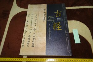 rarebookkyoto I496　古写経・守屋コレクション　展覧会目録　京都国立博物館　2004年　写真が歴史である
