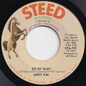 Andy Kim Be My Baby / Love That Little Woman Steed US STA-729 203713 ROCK POP ロック ポップ レコード 7インチ 45