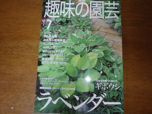 ＮＨＫ趣味の園芸　ラベンダー２０００年７月