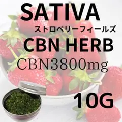 SATIVA ストロベリーフィールズ10g CBN ハーブ CBG CBP