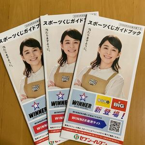 スポーツくじガイドブック 3冊 石田ゆり子 セブンイレブン