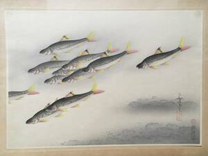 【ヒガイ】「大日本魚類画集」 大野麦風 大野麥風 木版画 原色木版二百度手摺り
