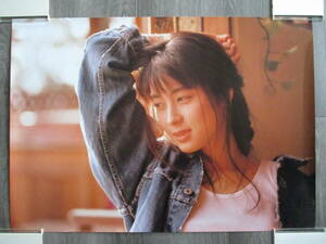 ZARD●坂井泉水●当時物ポスター⑨非売品●What a beautiful memory 2008●公式グッズ正規品