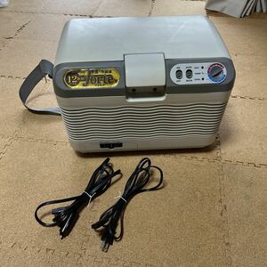 ポータブル温冷蔵庫 12v 24v 100v