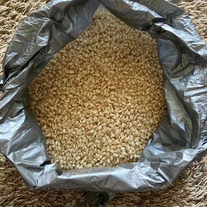 玄米　1kg