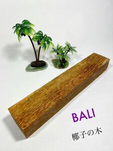 レアな逸品！ ヤシの木 木材 DIY などに バリ島 椰子　30×5.8×4 ④