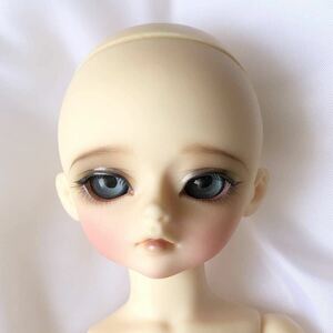 BABY BRIER TAFFY Limited (The 2nd Edition) フルセット/LUTS Honey Delf TAFFY 幼SD相当