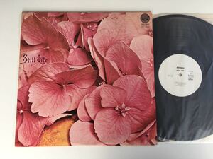 【非売品白ラベル見本盤】Still Life / スティル・ライフ LP VERTIGO/日本フォノグラム 英プログレッシヴ71年唯一作品,77年日本LP化盤