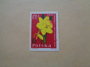 ポーランド切手　1964年　花切手　 Garden Flowersシリーズ　 Narcissus (Narcissus incomparabilis)　水仙　　1.50