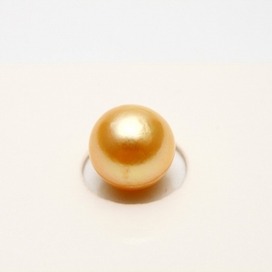 アコヤ真珠パールルース　8.0-8.5mm　ゴールドカラー