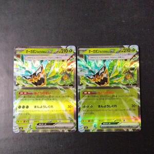 ポケモンカード　オーガポンみどりのめんex 