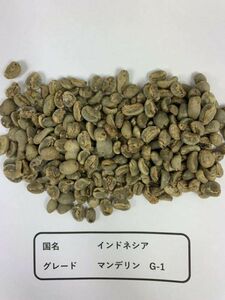 コーヒー 生豆 「インドネシア マンデリン G1」 20kg