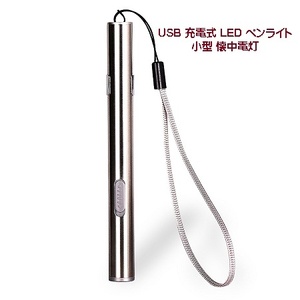 LED ペンライト 小型 懐中電灯 USB 充電式 災害 防災 緊急 スリム ツール キャンプ アウトドア 釣り USB アウトドア スリム　TEC-EGLARED