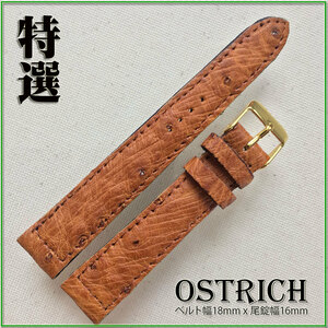 特選 1点物 金粉刻印 １８mm 本革 OSTRICH ダチョウ革 時計ベルト GOLD バックル オリジナル ブラウン バネ棒２本付