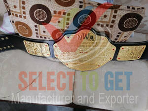 海外 送料込み 　高品質　NWA BIG GOLD　　　プロレス　レスリング　チャンピオンベルト　レプリカ　ケース付き