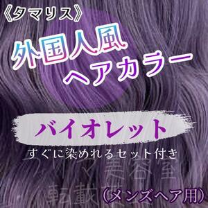 タマリス すぐに染めれるセット violet 12 トリートメント付属割あり　ヘアカラー　メンズ用