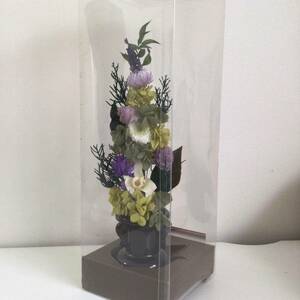 ZB6-3 ②　展示品　 お手入れ不要 プリザーブドフラワー 花器つき 　天然花のプリザーブドフラワー「紫蘭」