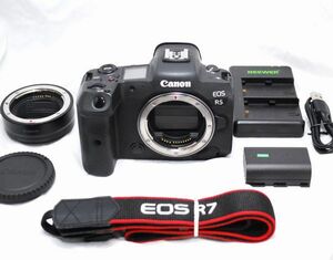 【良品・豪華セット】Canon キヤノン EOS R5 マウントアダプター EF-EOS R