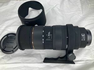 SIGMA 50-500mm 1:4-6.3 APO DG HSM EX SIGMA オリンパス マウント　一眼カメラ用レンズ　Olympus