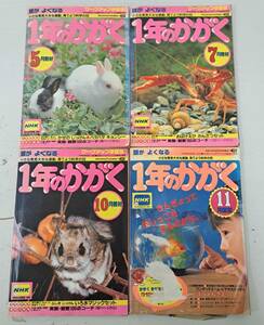 1年のかがく　1989、1990年　1、2、3、5、7、10、11、12月号　1年のがくしゅう　1989年　6、11月号　10冊セット売り