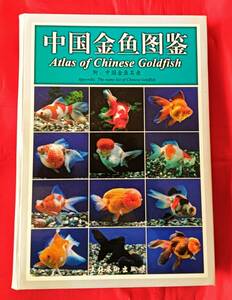 値下げ! 中国語　中国金魚図鑑　Atlas of chinese Goldfish　金魚の本 中文 257p