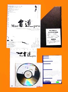 【1015】 演算星組 表現主義 ペイントツール Mac 書道 Pro メディア未開封品 calligraphy 習字 ソフト カリグラフィ プロ 4995353000059