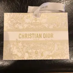 Dior クリスチャンディオール　ショッパー　2023クリスマスホリデー限定