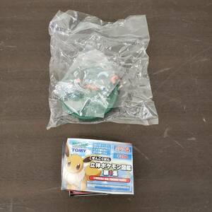 未開封 TOMY トミー ポケットモンスター アドバンスジェネレーション 立体ポケモン図鑑 第1集 デルビル ヘルガー フィギュア