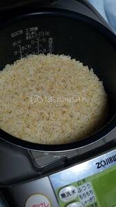 動作確認済み 象印 NP-HS10 ZOJIRUSHI 発芽玄米炊きが得意 圧力IH used