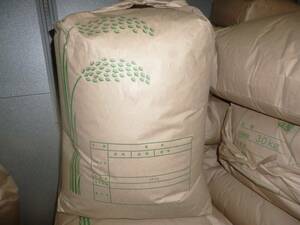 コシヒカリ　20キロ　玄米　令和5年度　愛媛県 