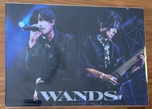 WANDS / A4サイズ クリアファイル ★ Blu-ray 先着購入特典 WANDS Live Tour 2023 ～SHOUT OUT!～