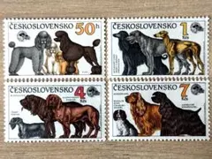 外国切手　チェコスロバキア　ドックショウ　4種完　未使用