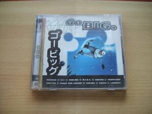 即決 VA Go Big./sublime/311/Shelter/M.I.R.V./Sausage/Food Stamp スノーボード・Xゲーム