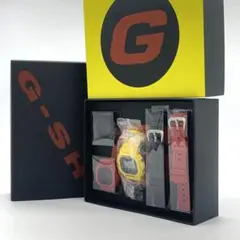 未使用級　希少　箱付き　着せ替え　G-SHOCK　DWEー5600R-9JR