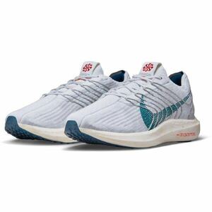 NIKE ナイキ PEGASUS TURBO NEXT NATURE ペガサス DM3413-004 ピュアプラチナ 30cm