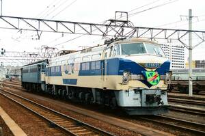 ♪　EF66 20（吹田特別塗装機）＋EF65F　　梅田貨物駅　KG写真 ♪　