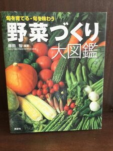 野菜づくり大図鑑(大型本) / 藤田 智