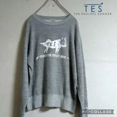 ❮美品☆❯TES スウェット ブヒ