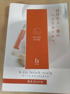 即決 新品未開封 b.ris ビーリス larich scalp ラリッチスカルプ 60ml ヘアエッセンス＜薬用育毛剤＞ 特殊なノズルで確実に届ける！