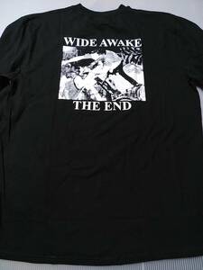 WIDE AWAKE 長袖Tシャツ the end 黒L ロンT / black flag descendents minor threat fugazi bad brains judge youth of today side by side