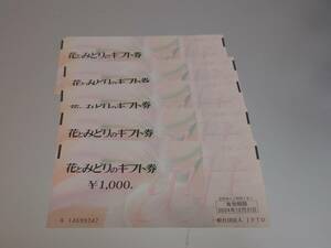 花とみどりのギフト券5000円分　2024年12月末まで　花のギフト券　プレゼント　父の日　お祝いに！