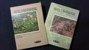 ｖ＃＃　昭和30年代 図鑑　原色日本植物図鑑 上 草本編(Ⅰ)合弁花類　著/北村四郎ほか　保育社　昭和37年改訂10刷　古書/A21