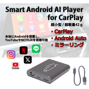 CarPlay AI Box アダプター android Youtube Netflix マイクロSD動画、音楽視聴可能　carplay android auto ミラーリング USB簡単接続